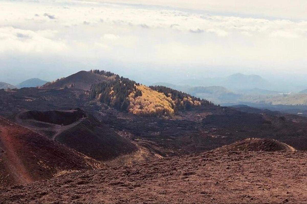 Una vista de una montaña con árboles.