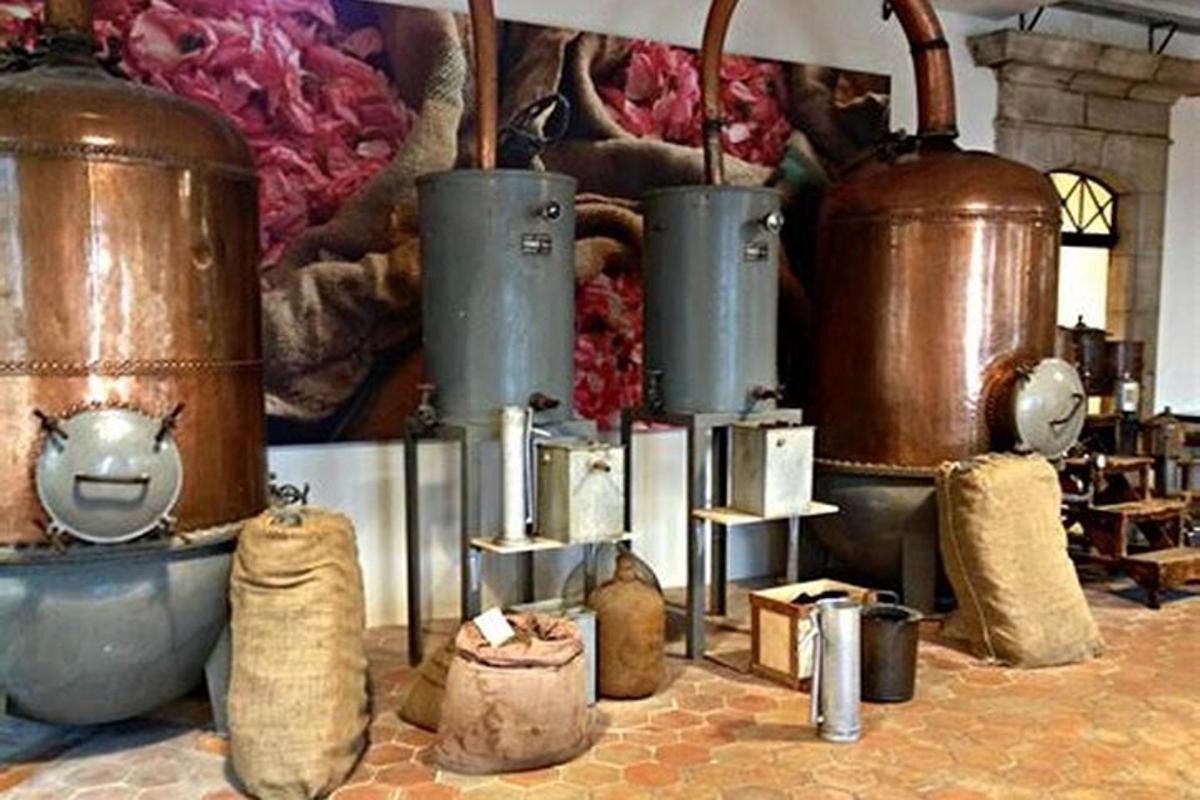 một căn phòng có rất nhiều, rất nhiều, rất nhiều, rất nhiều, rất nhiều, rất nhiều, rất nhiều