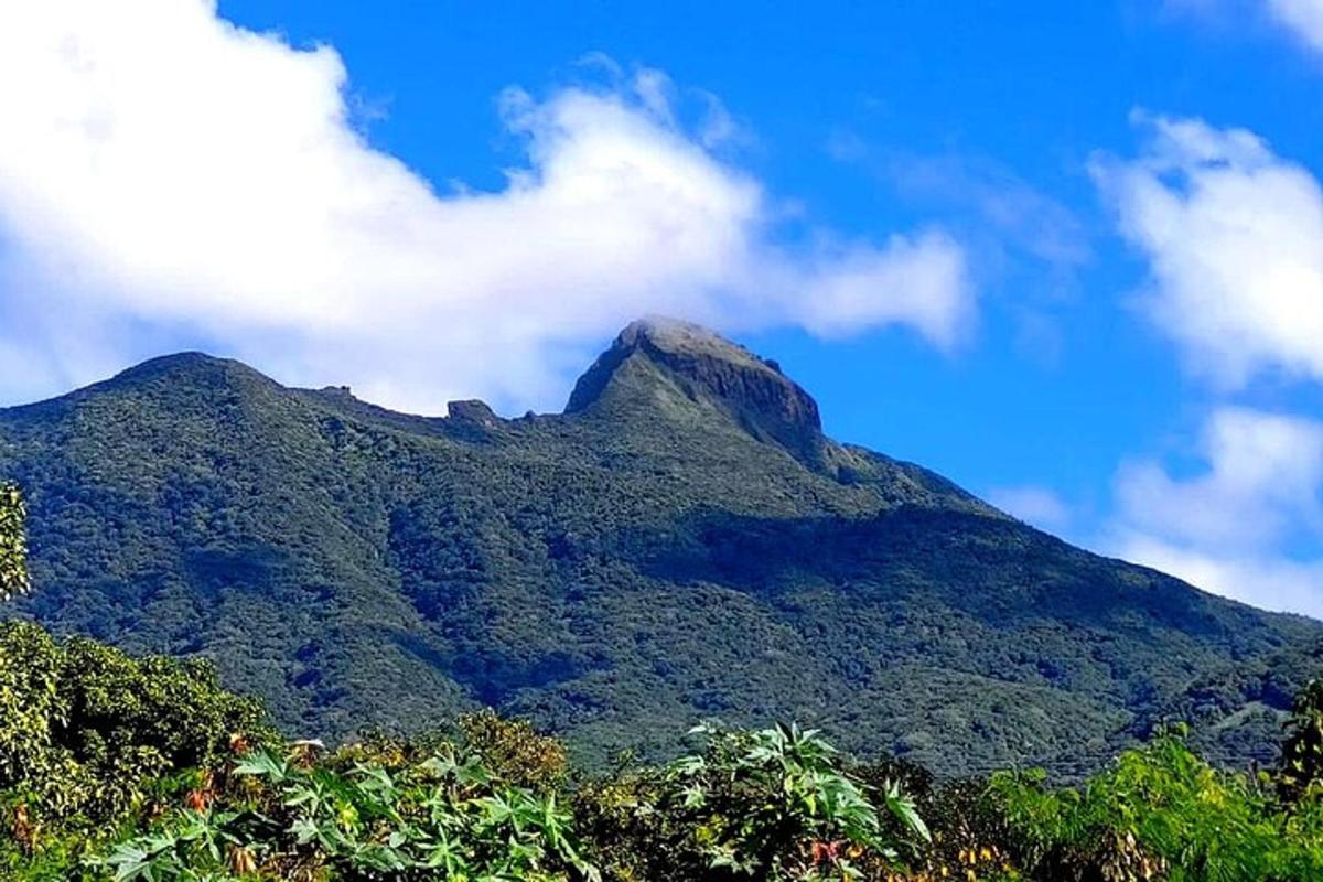 a mountain covered in trees with a blue sky and clouds