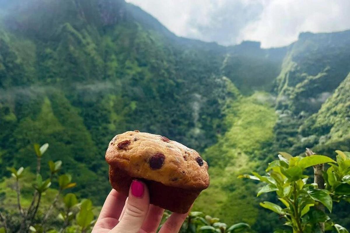 a person holding a cookie in front of a valley