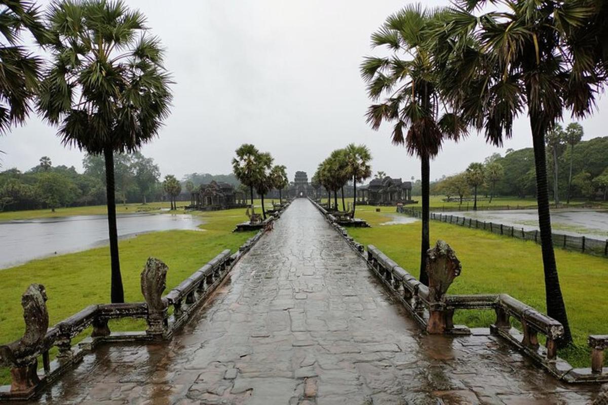 laluan pejalan kaki di taman dengan pokok palma dan sungai