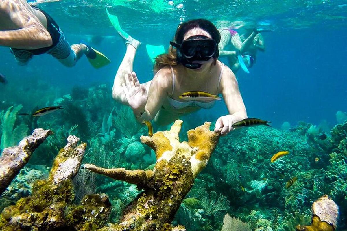 un gruppo di persone che nuotano nell'oceano