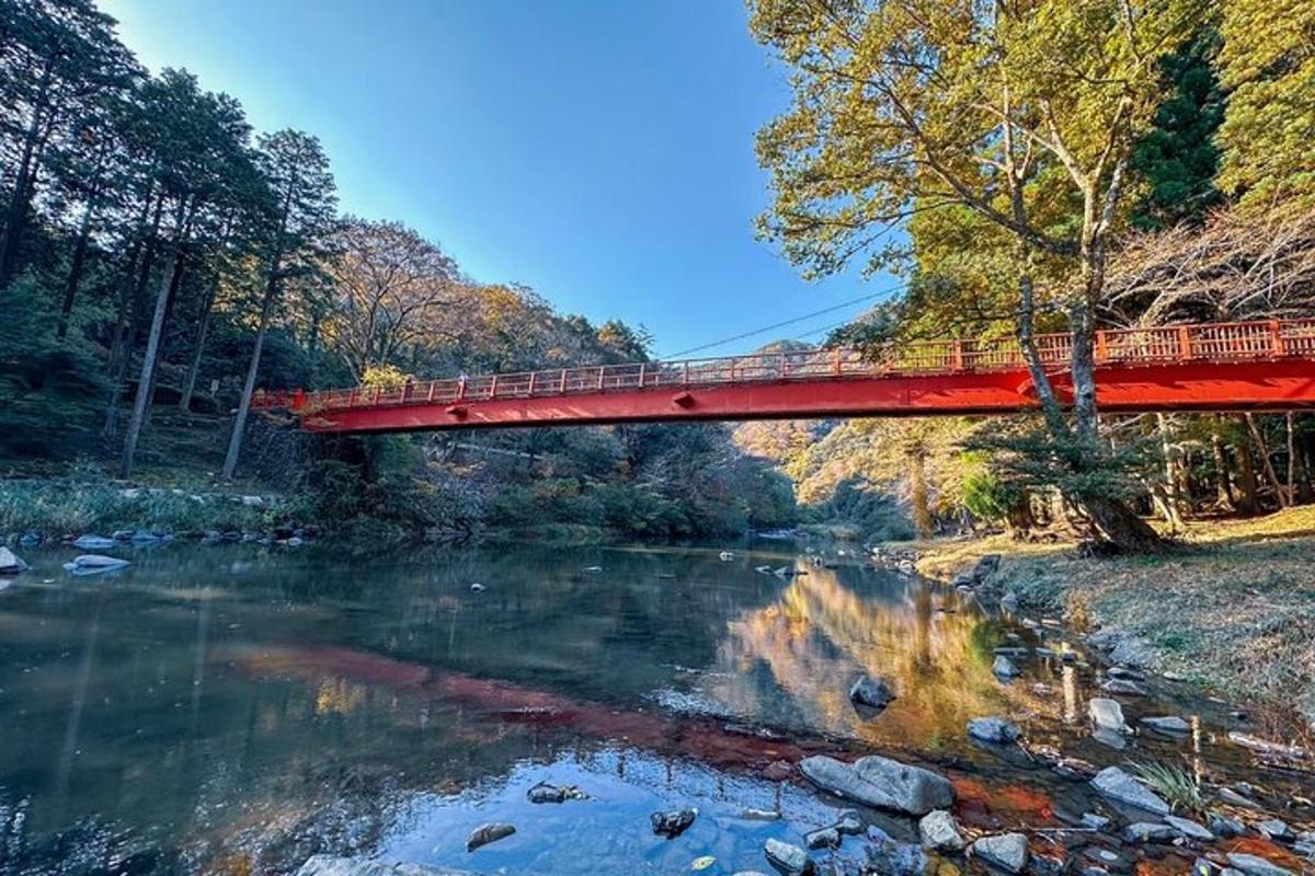 a red bridge over a river with trees