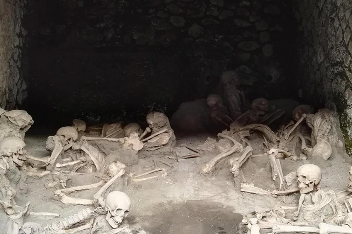 sekumpulan rangka terbaring di atas tanah