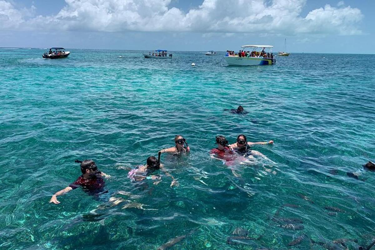 eine Gruppe von Menschen, die im Meer schwimmen