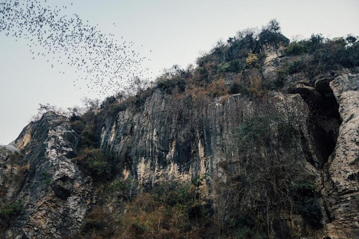 een zwerm vogels die over een rotsachtige berg vliegt
