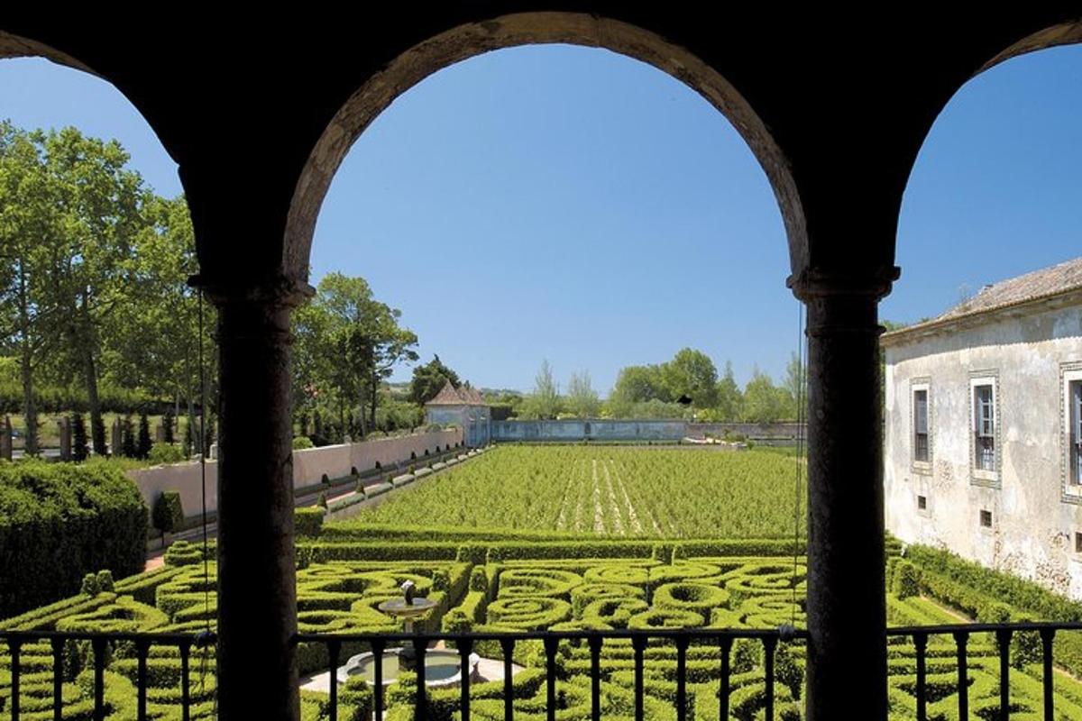 uma vista de um grande jardim de um edifício