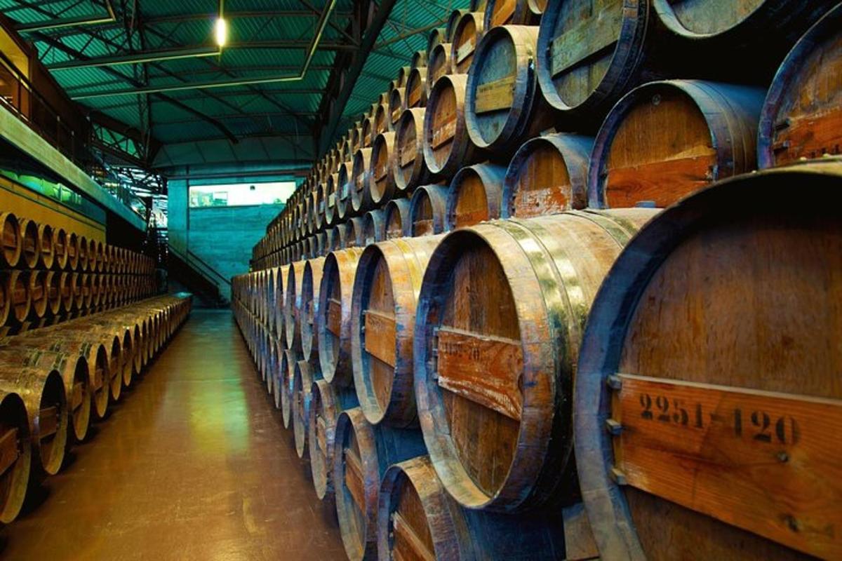 uma grande fileira de barris de vinho em uma adega