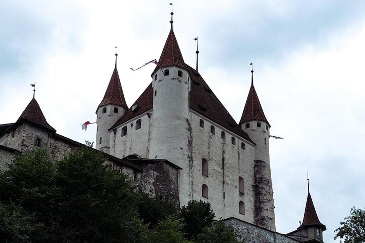 eine große Burg mit Türmen darauf