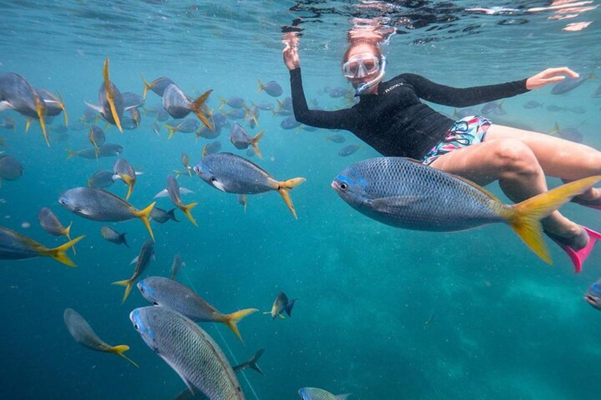 a woman swimming in the water with a group of fish