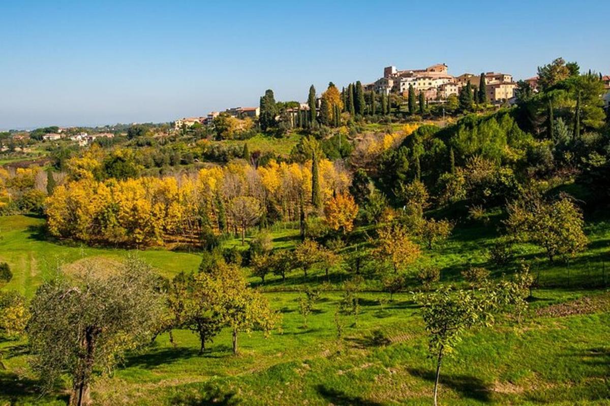Un campo verde con árboles y edificios en una colina.
