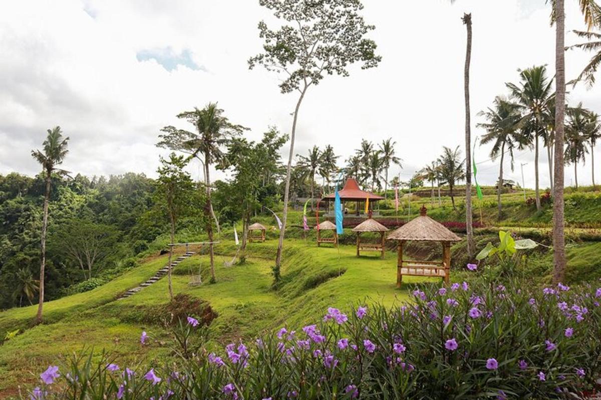 um jardim com playground em uma colina com flores roxas