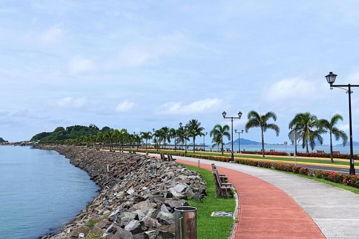 a path next to a body of water with palm trees