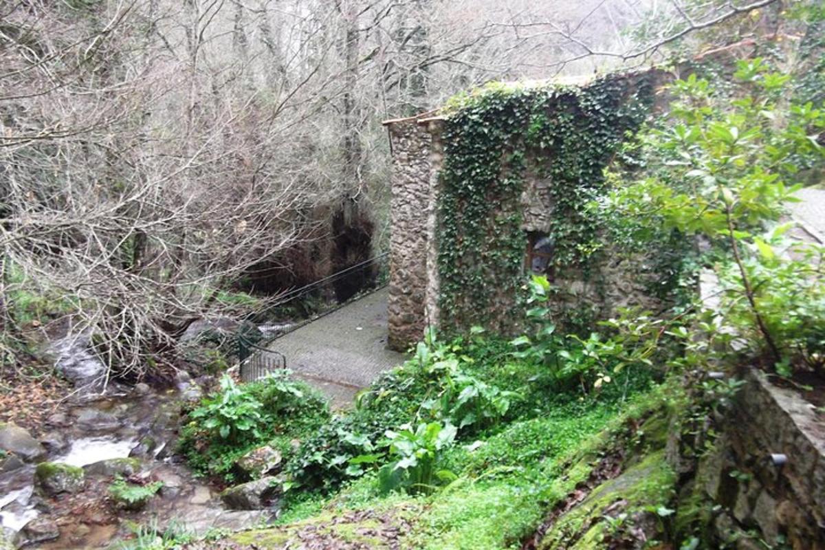 um antigo edifício de pedra com hera verde