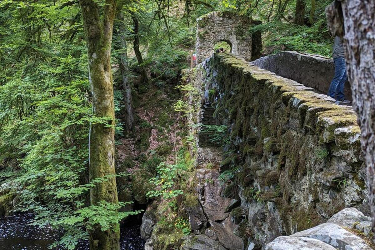 um muro de pedra em uma floresta com pessoas em pé nele