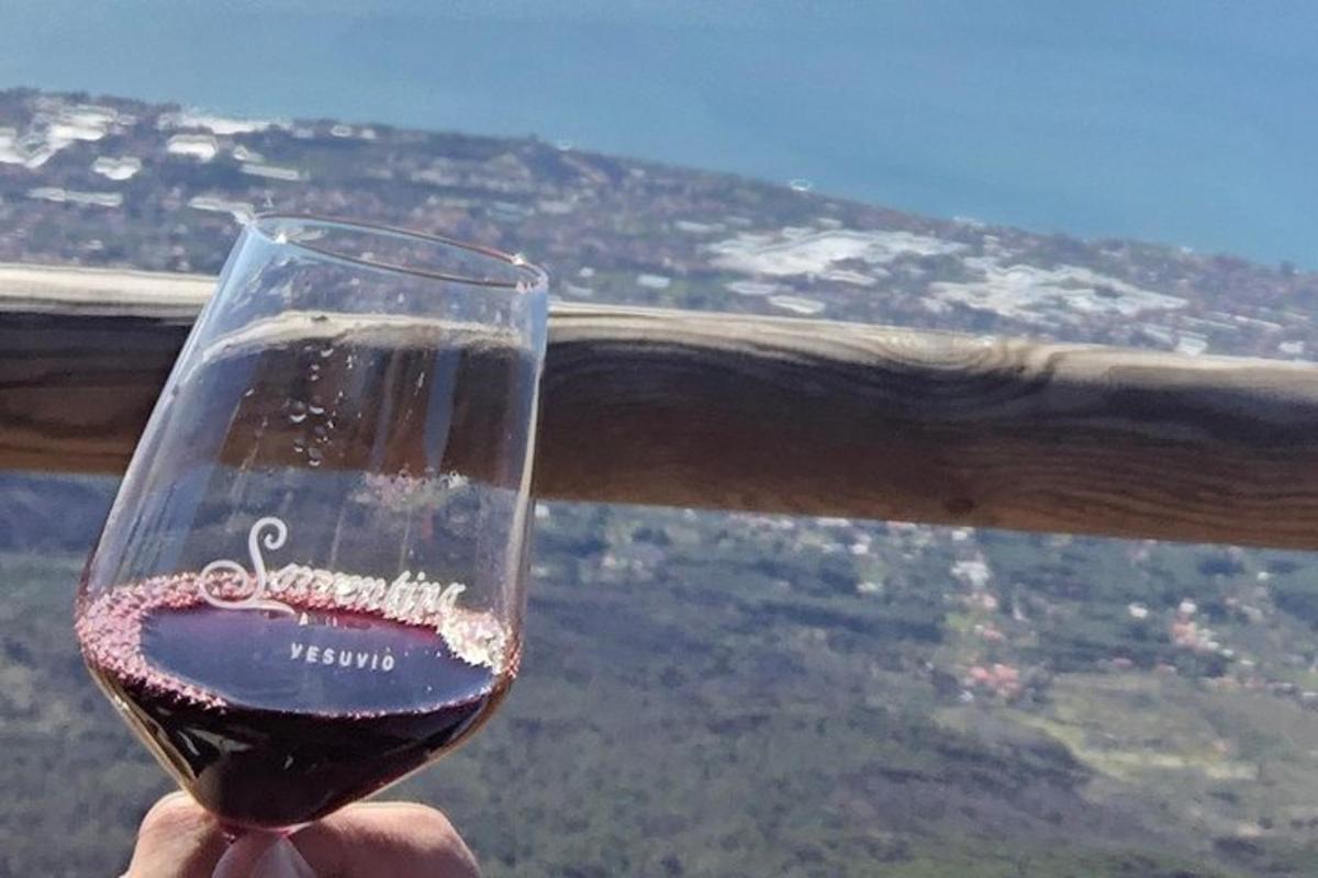 en person som holder et glass vin med utsikt