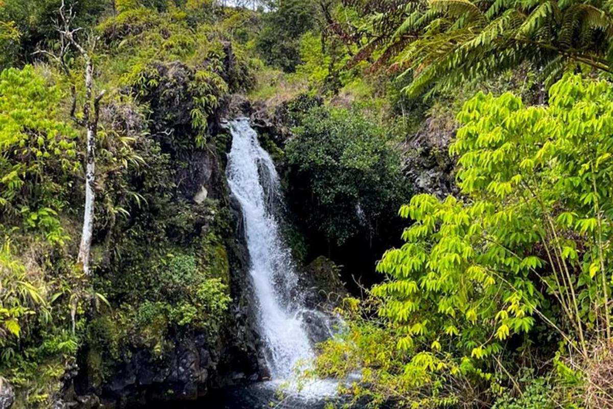 a waterfall in the middle of a jungle