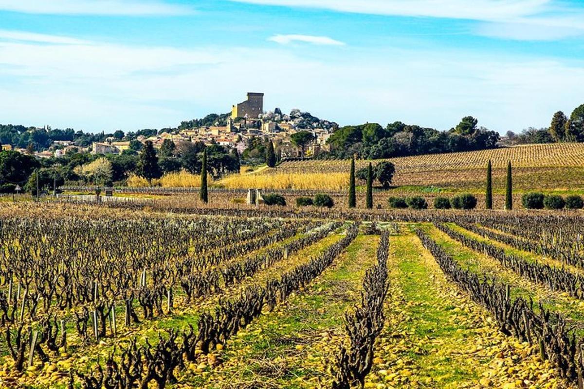 Un campo de viñas con una casa en una colina