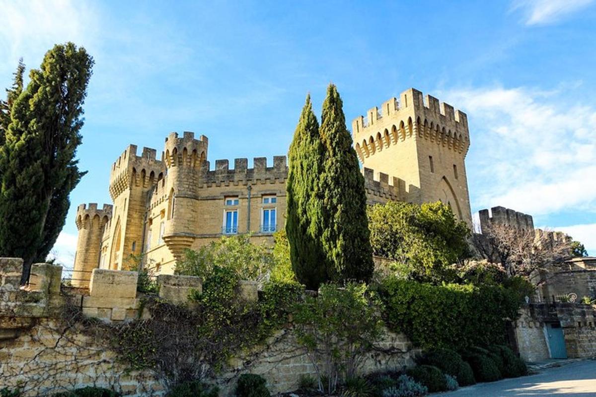 un castello su una collina con alberi di fronte
