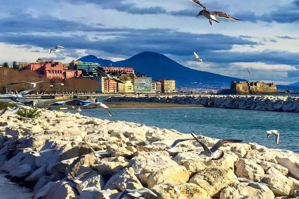 uno stormo di gabbiani che volano sopra l'acqua