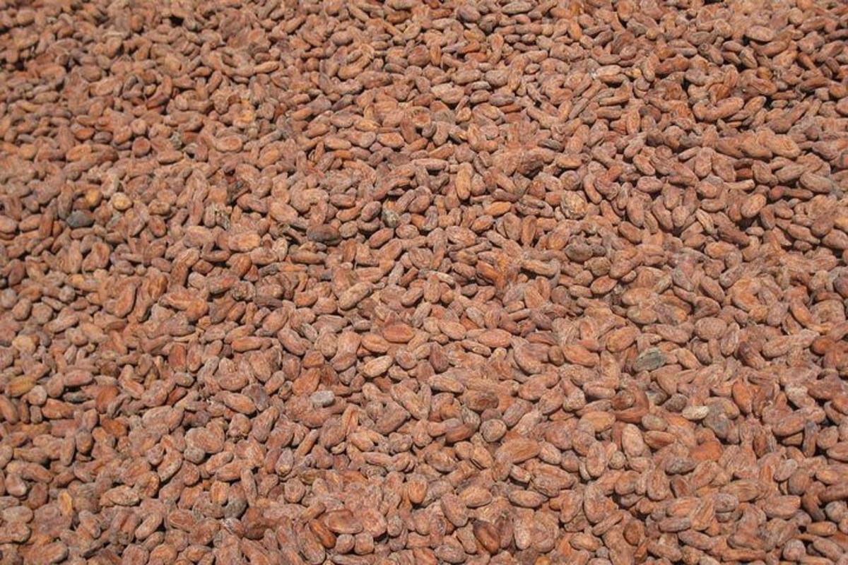 cận cảnh sàn nhà trải thảm màu nâu
