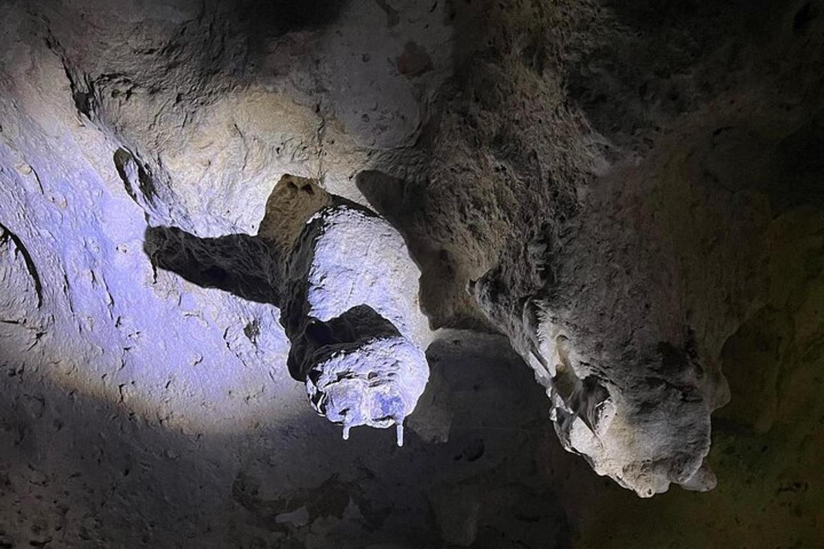 una vista di una grotta con un teschio al suo interno