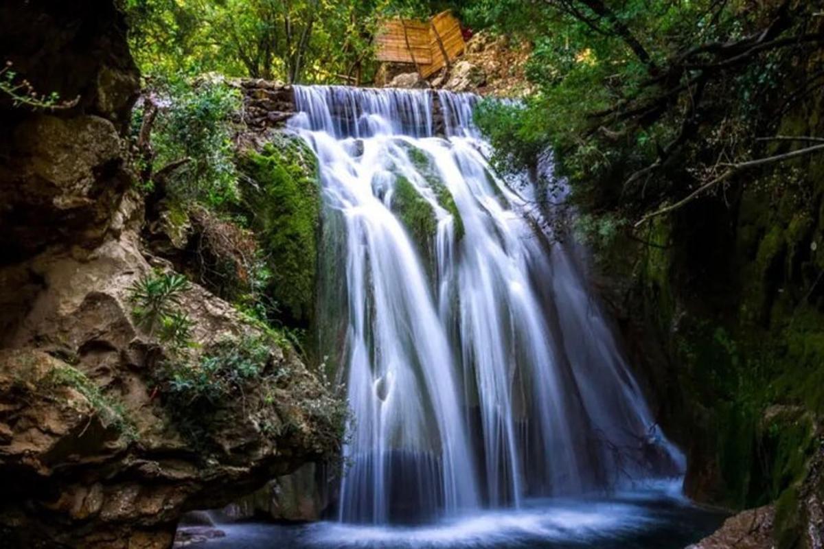 air terjun di tengah-tengah hutan