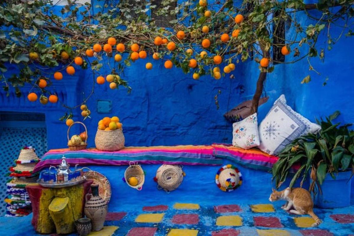 Un gato sentado en el suelo frente a una pared azul.