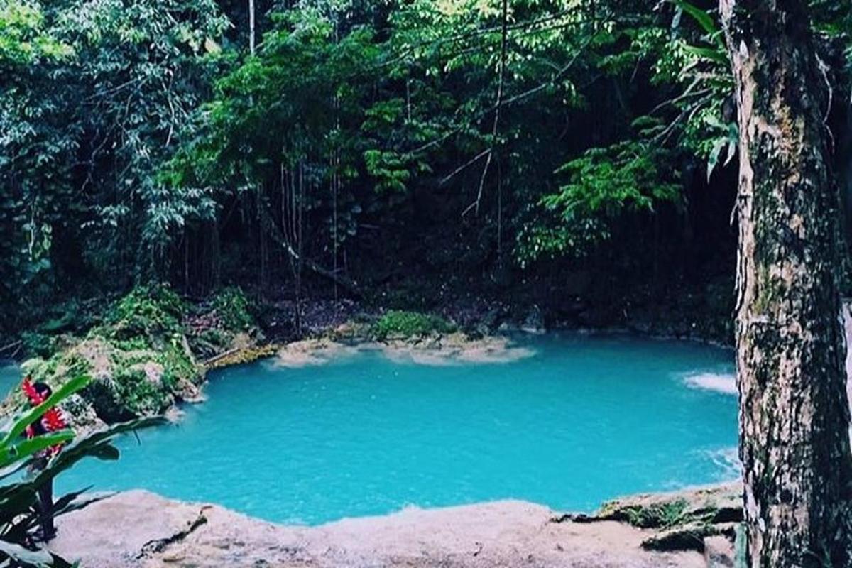 uma grande piscina azul de água em uma floresta