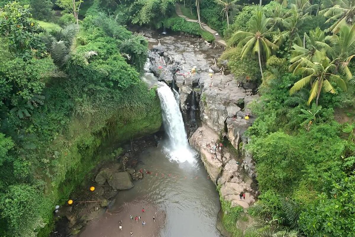 eine Luftaufnahme eines Wasserfalls in einem Dschungel