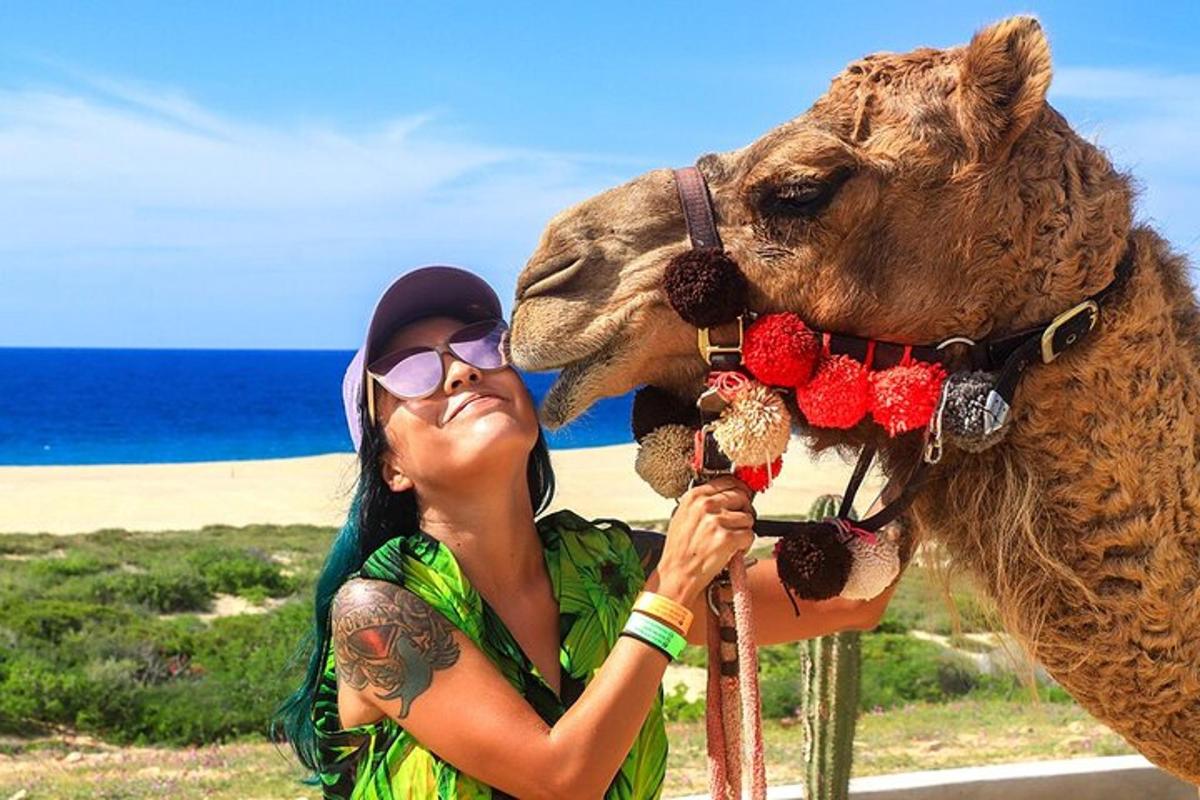 a woman is standing next to a camel