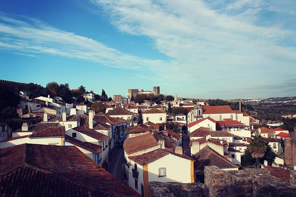 Una vista de una ciudad con tejados y edificios.