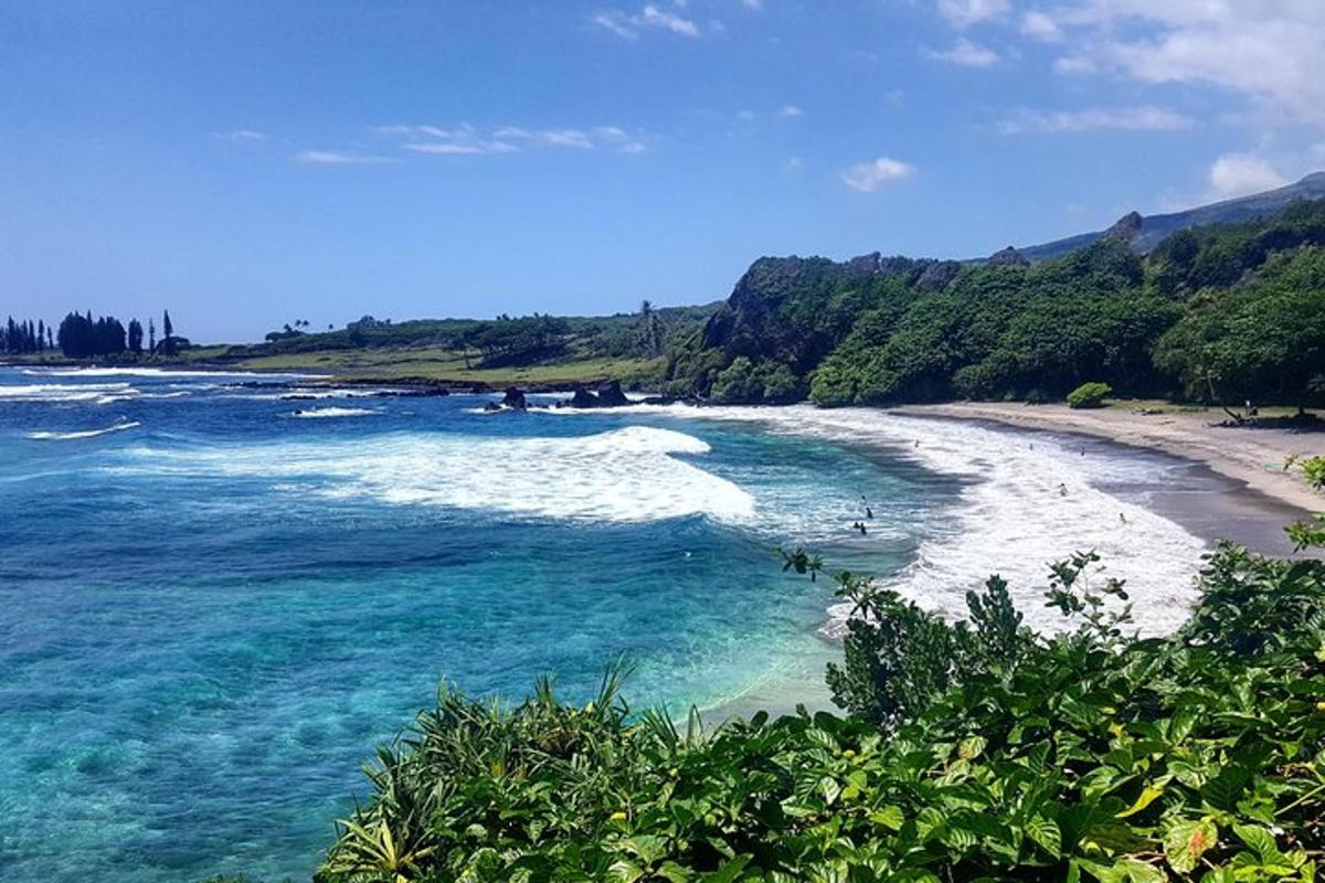 una vista di una spiaggia con acqua blu e alberi
