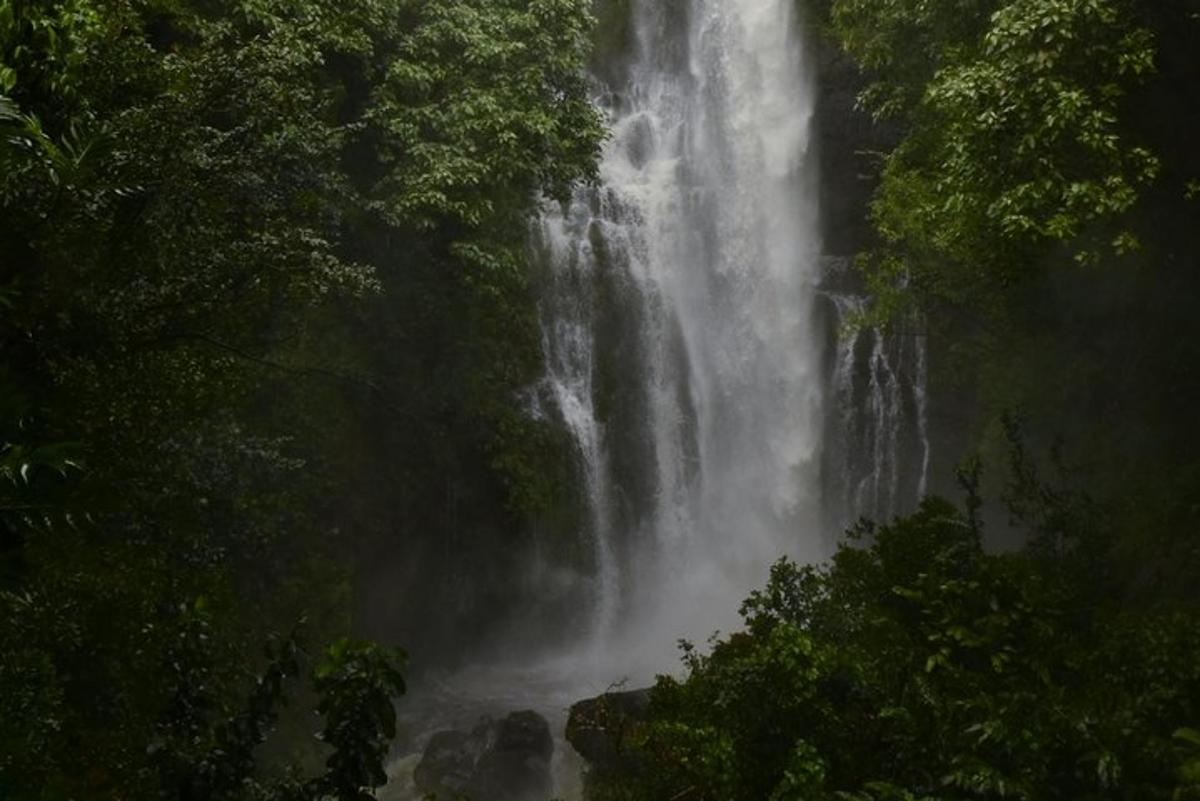 air terjun di tengah-tengah hutan