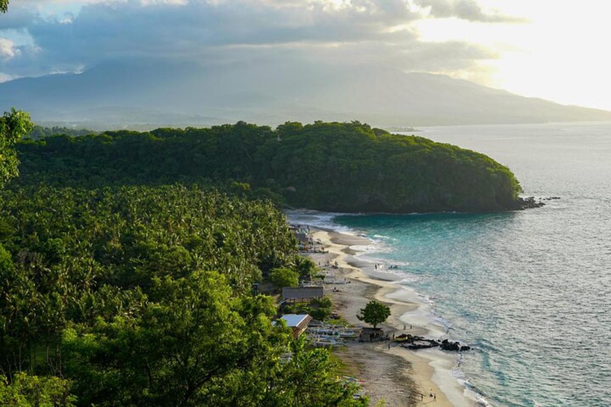 una vista di una spiaggia con alberi e l'oceano