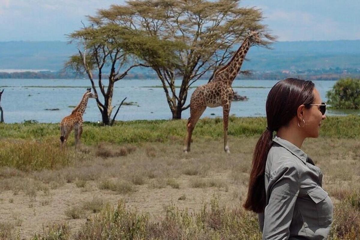 eine Frau beobachtet Giraffen auf einem Feld