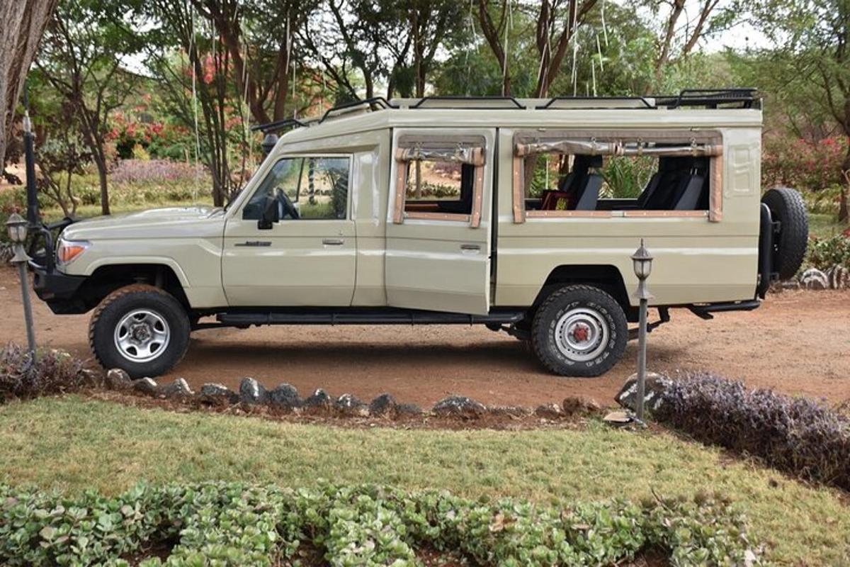 ein hellbrauner Jeep in einem Park mit Vögeln geparkt