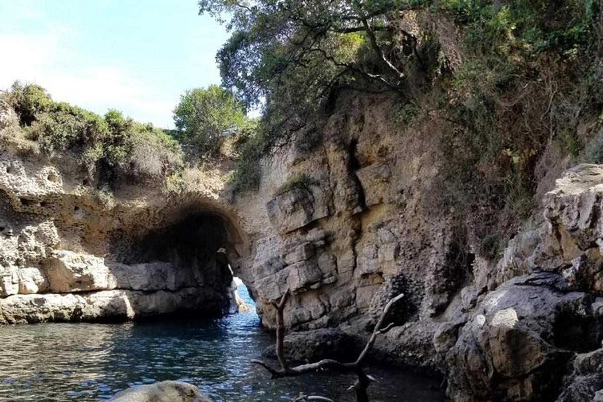 μια σπηλιά στην όχθη ενός ποταμού με μια αρκούδα στο νερό