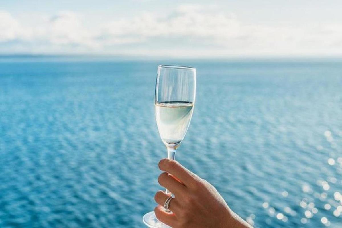 osoba držící sklenici vína před oceánem