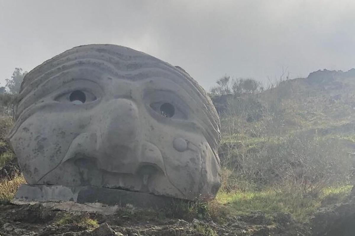 duża statua twarzy na polu