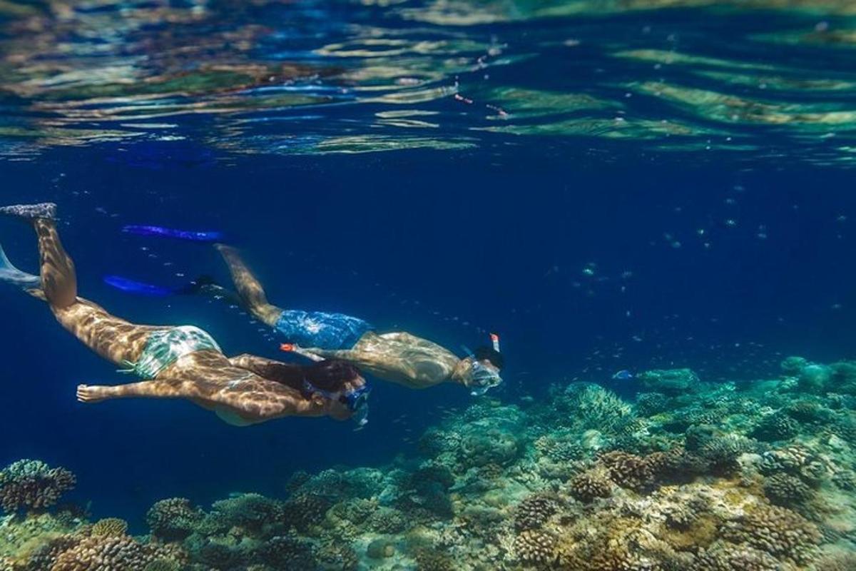 two people swimming in the water near the reef