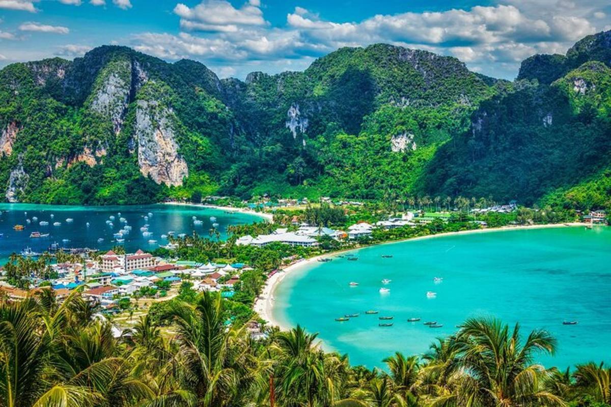 pemandangan pantai dengan pokok palma dan gunung