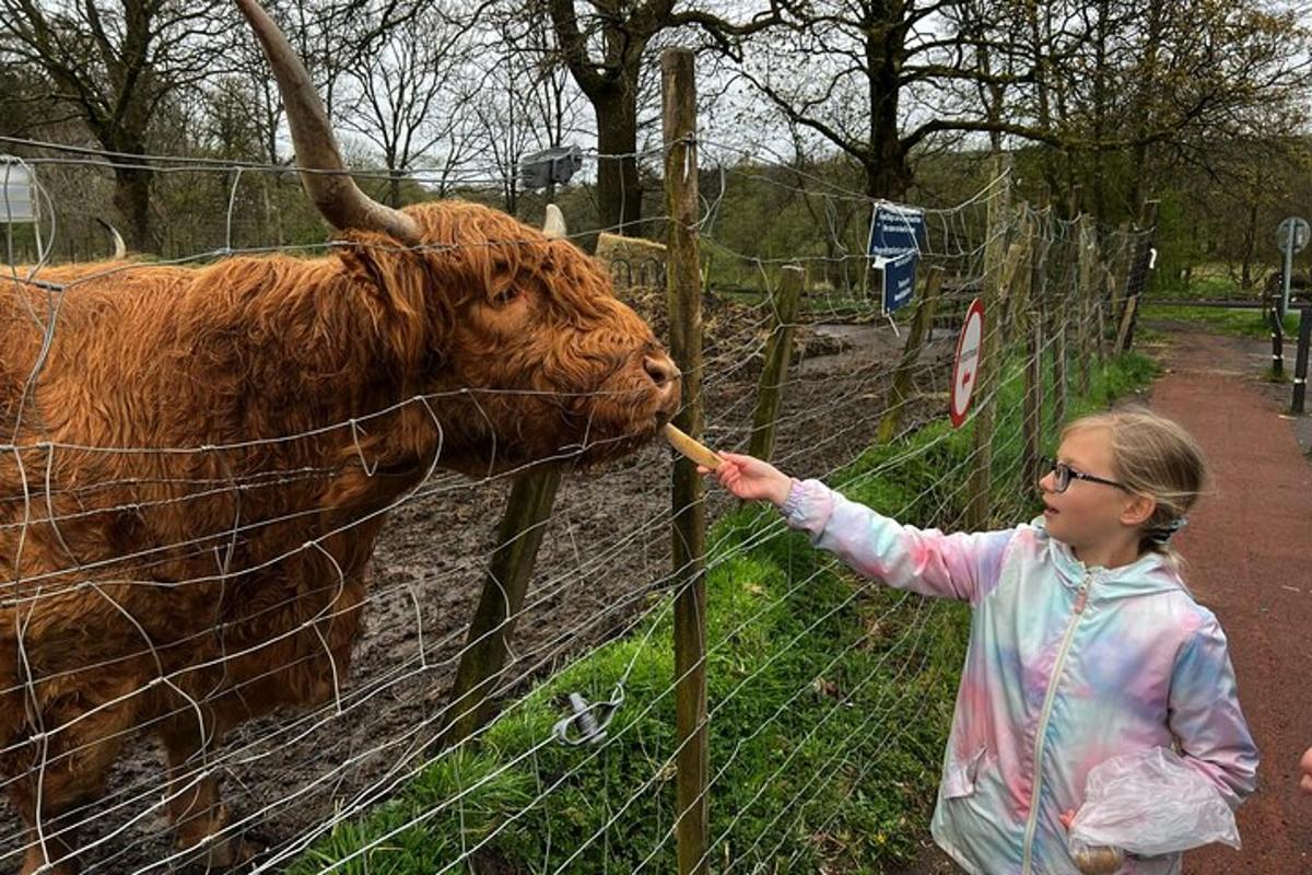 a little girl feeding a cow through a fence
