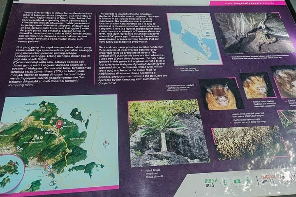 mapa Austrálie s obrázky rostlin a zvířat