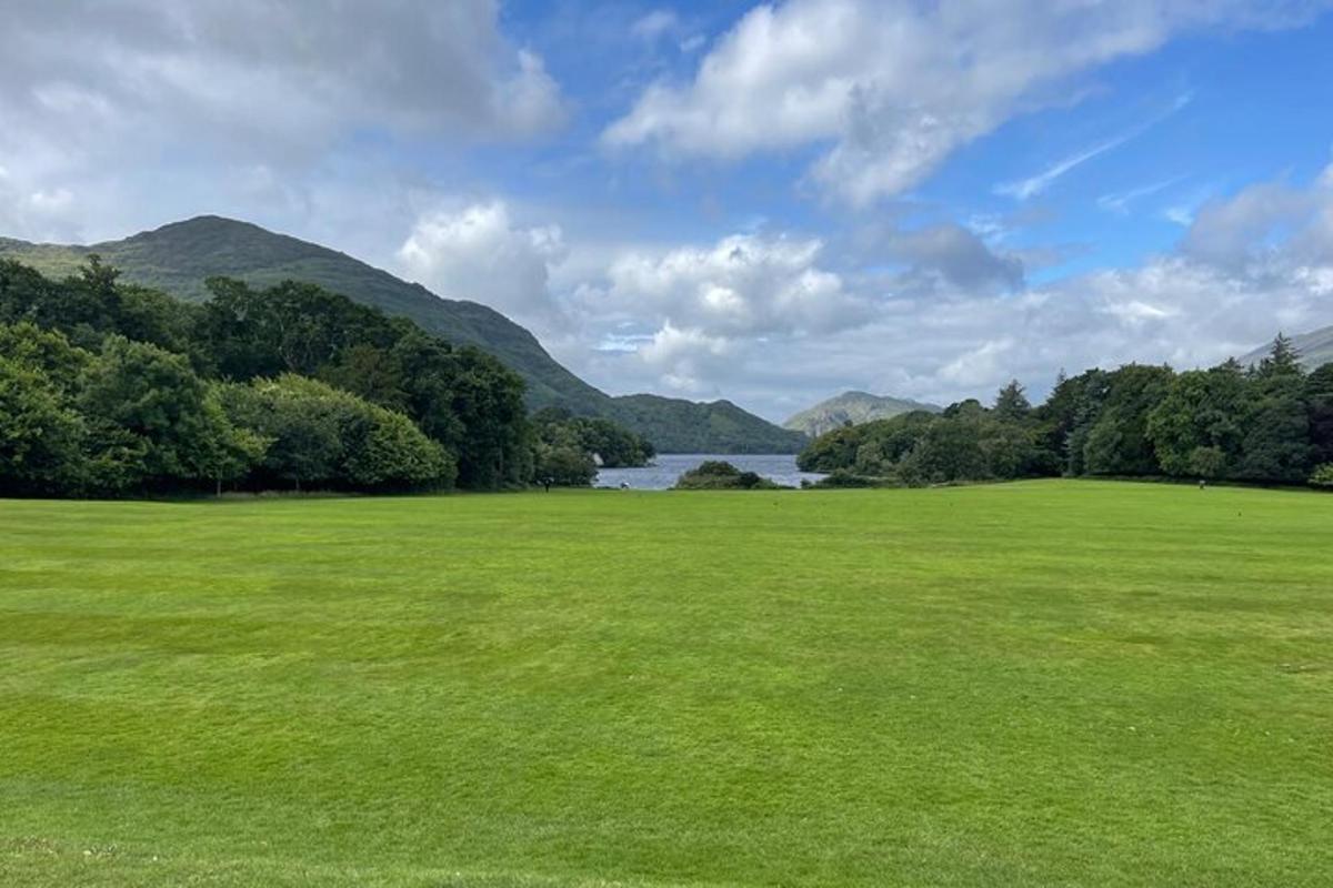 a large green field with a lake and mountains
