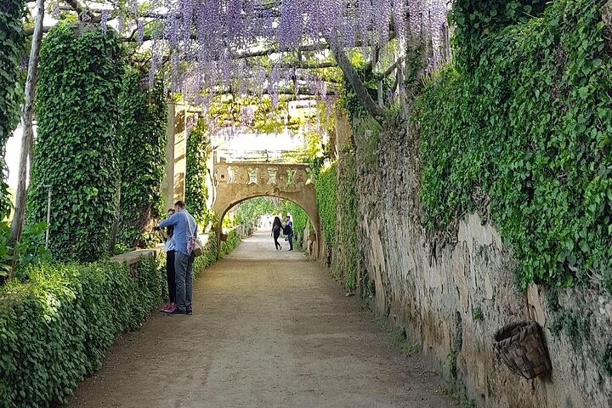 muž stojící pod obloukem s vistáriemi