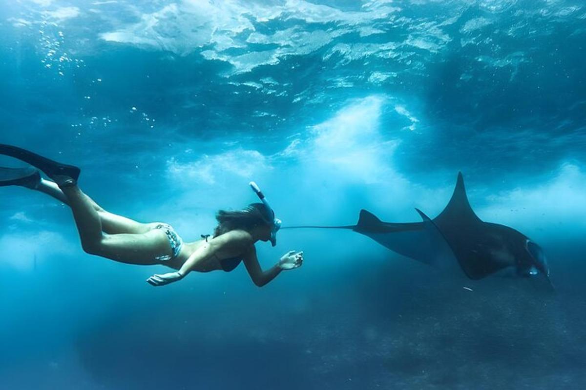 a woman swimming in the water with two sharks