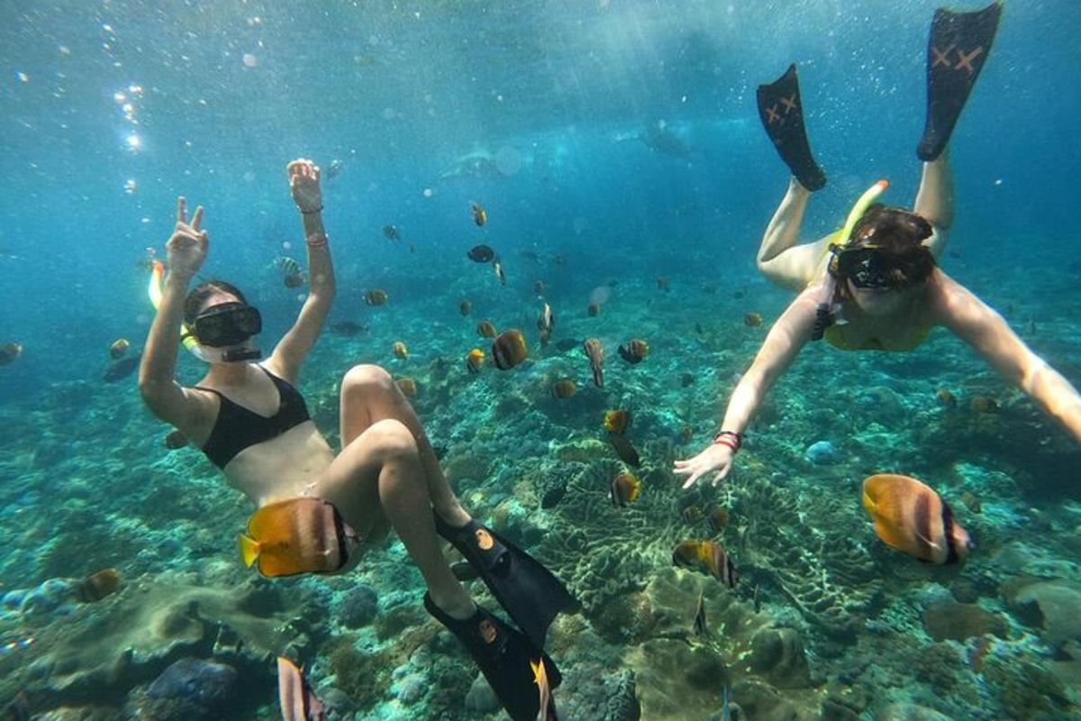 two people swimming in the ocean with fish