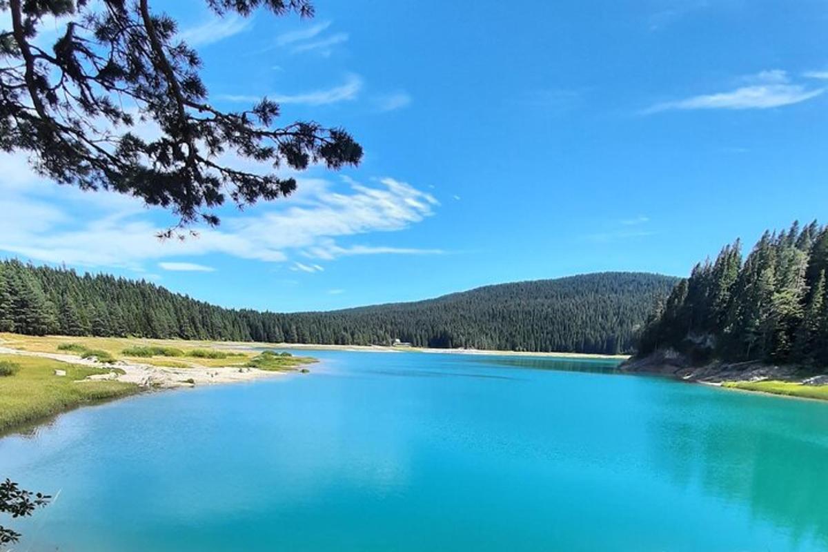 velké modré jezero se stromy v pozadí