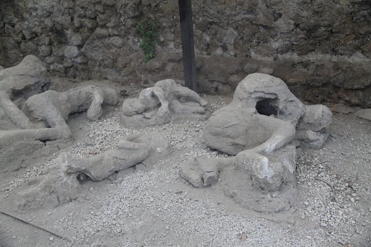 una scultura in pietra di animali sdraiati a terra